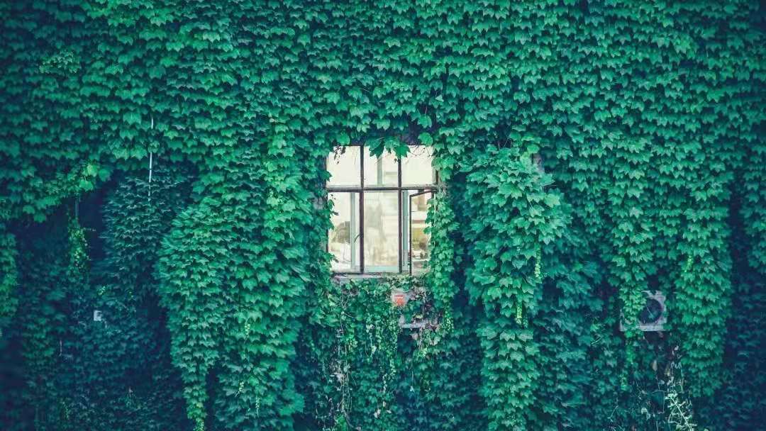 2152a315bdb140758f81928487d88b21.jpg 2152a315bdb140758f81928487d88b21.jpg